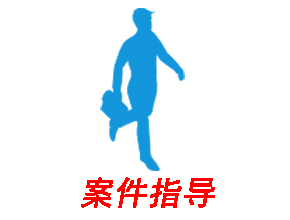 专业律师一对一指导